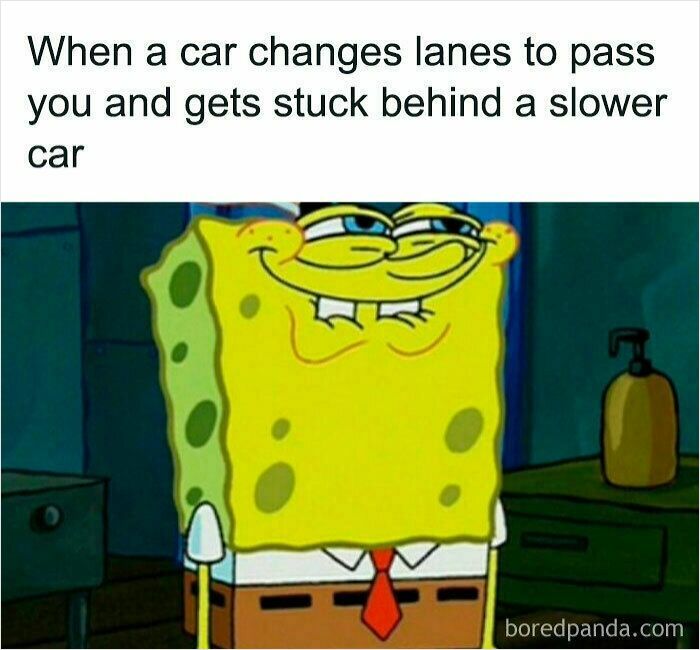 Wait, They Actually Ranked These Driving Memes? Yes, And It's Hilarious!