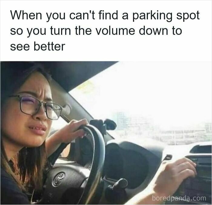 Wait, They Actually Ranked These Driving Memes? Yes, And It's Hilarious!