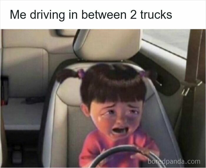 Wait, They Actually Ranked These Driving Memes? Yes, And It's Hilarious!
