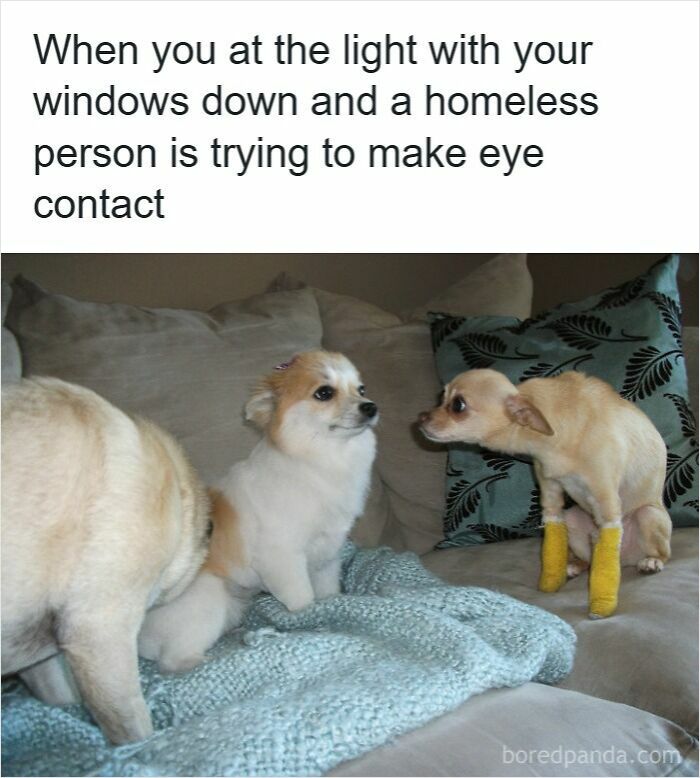 Wait, They Actually Ranked These Driving Memes? Yes, And It's Hilarious!