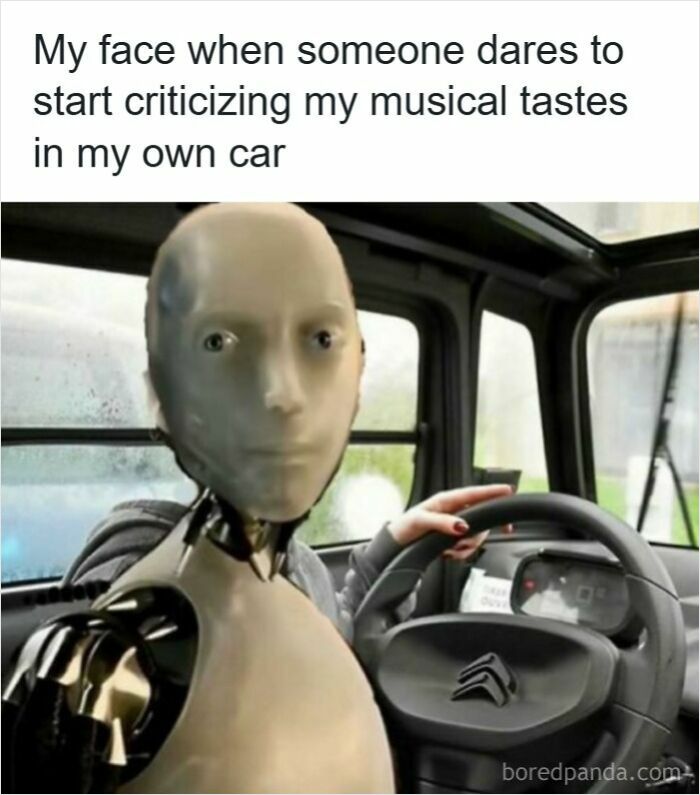 Wait, They Actually Ranked These Driving Memes? Yes, And It's Hilarious!