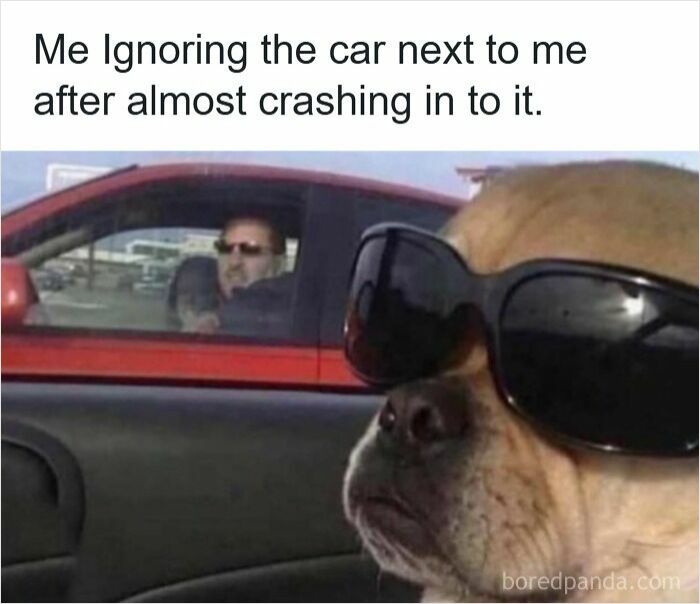 Wait, They Actually Ranked These Driving Memes? Yes, And It's Hilarious!