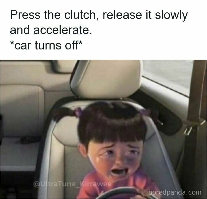 Wait, They Actually Ranked These Driving Memes? Yes, And It's Hilarious!