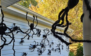 Peek At These Halloween Decorations That Totally Rock!