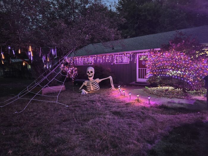 Meet Stanley, The Coolest Skeleton Around