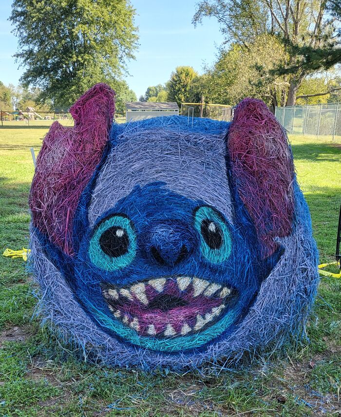 Stitch Gets Hay-wild