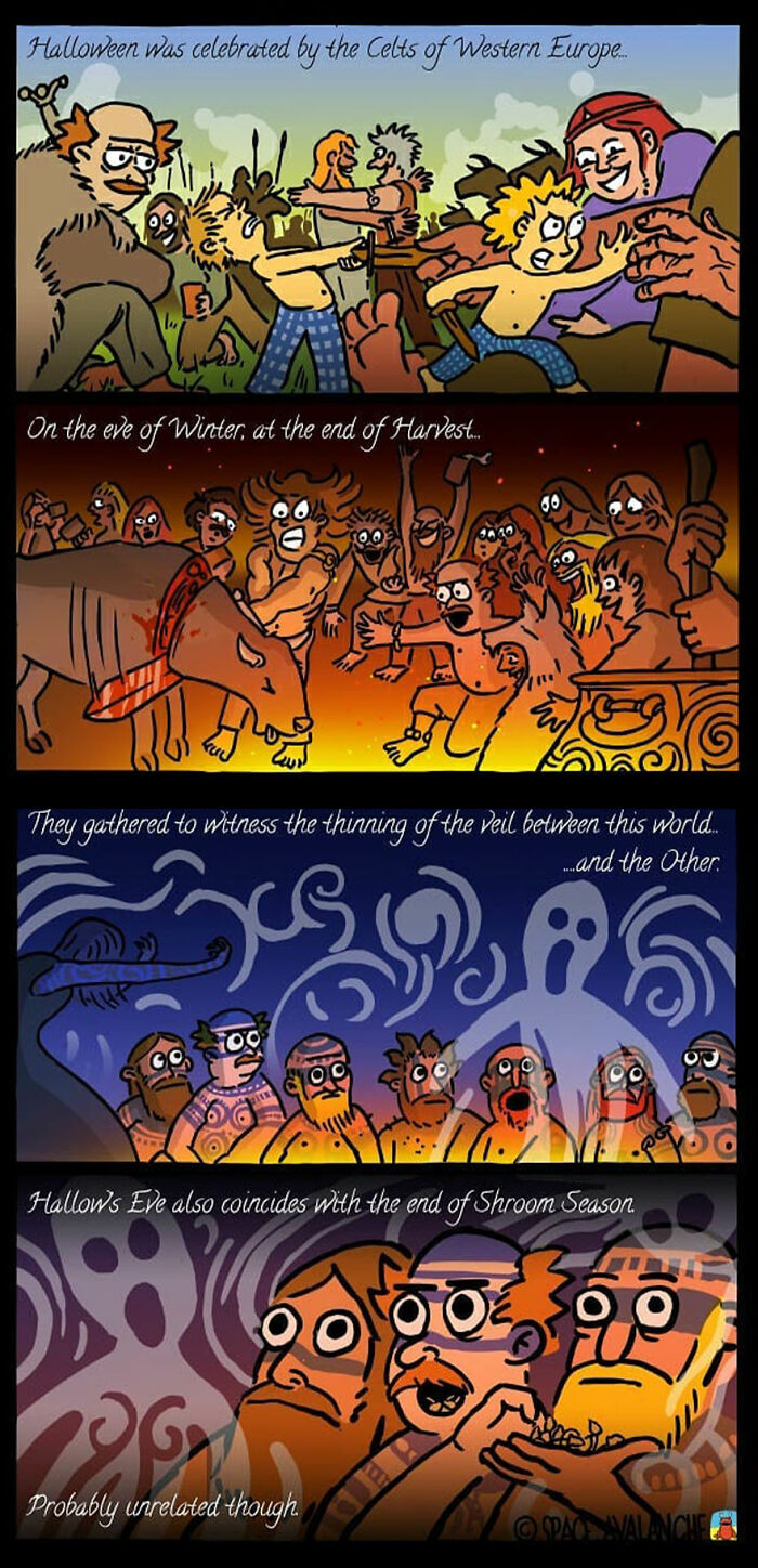 Wait Till You See These Wild And Witty Comics By Eoin Ryan