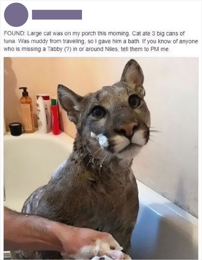 Hold Up, Wait A Minute!