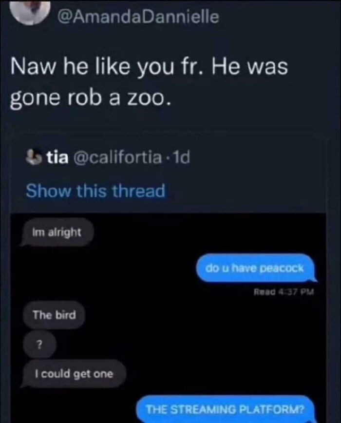 Who Wouldn’t Rob A Zoo For Love?