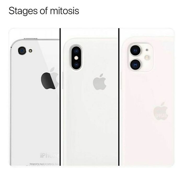 Wait, They Actually Ranked British Humor? Here's a Meme-Packed Adventure!