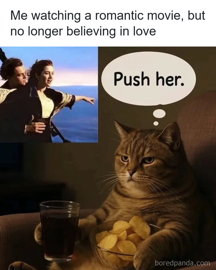 These 50 Cat Memes Are So Good, You'll Wish You Were a Cat!
