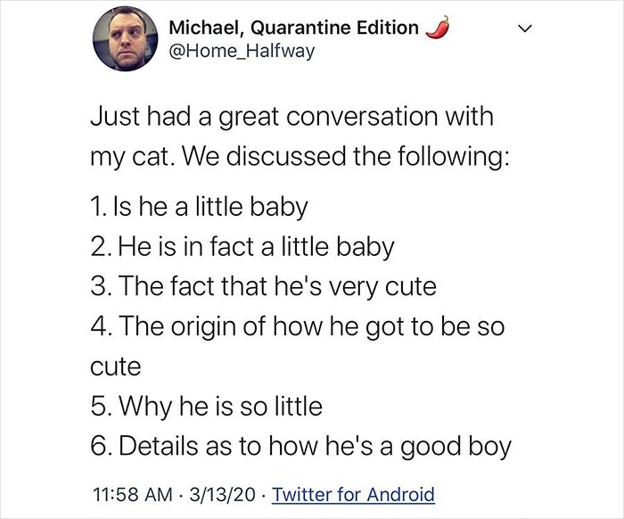 These 50 Cat Memes Are So Good, You'll Wish You Were a Cat!