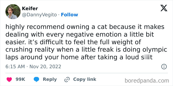 These 50 Cat Memes Are So Good, You'll Wish You Were a Cat!