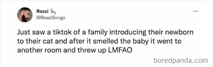 These 50 Cat Memes Are So Good, You'll Wish You Were a Cat!