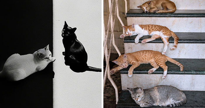 Check Out These Crazy Cool Street Shots That Basically Tell Stories With Light and Shadow