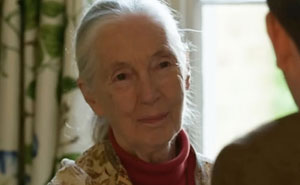 These Celebrity Encounters Are Insanely Cool (You’ll Wish You Were There!)