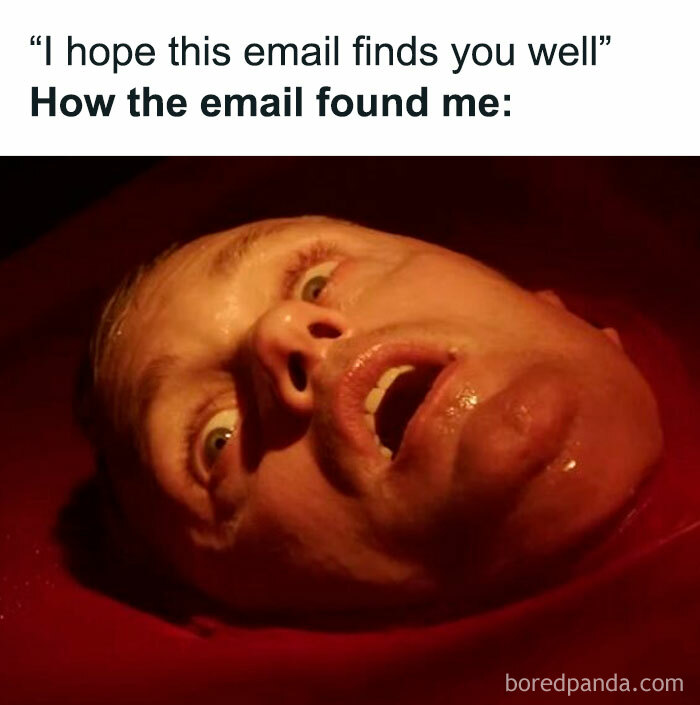 Wait, Horror Movie Memes? Yeah, We Ranked 'Em!