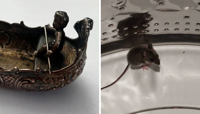 Whoa! Check Out The Craziest Stuff People Found While Cleaning!