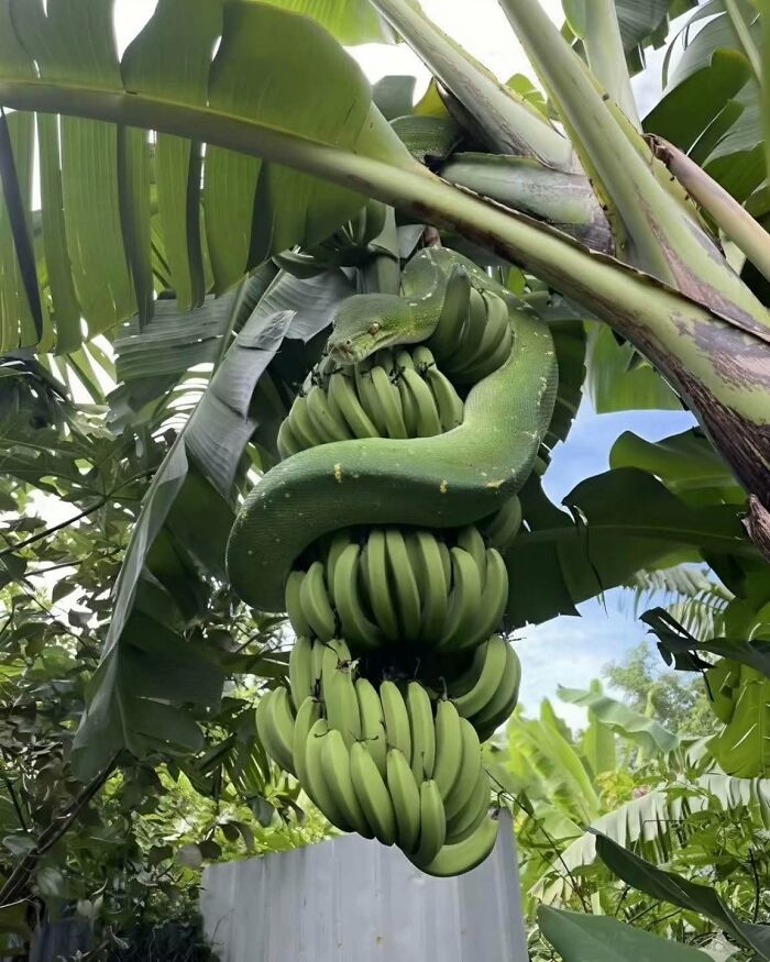 36 Animal Pics That Will Totally Make Your Day