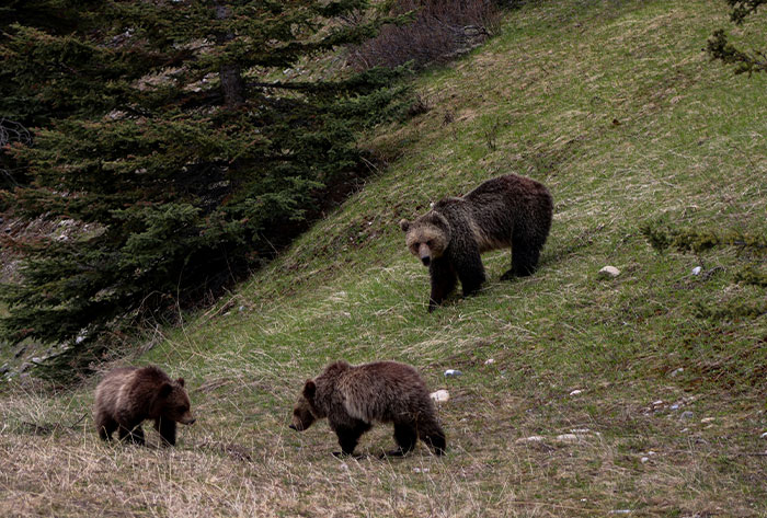 Wait, They Actually Ranked These Creepy Found Footage Moments?!