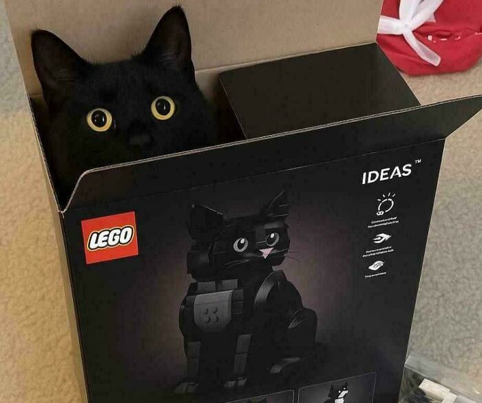 The LEGO Cat Cracks Us Up