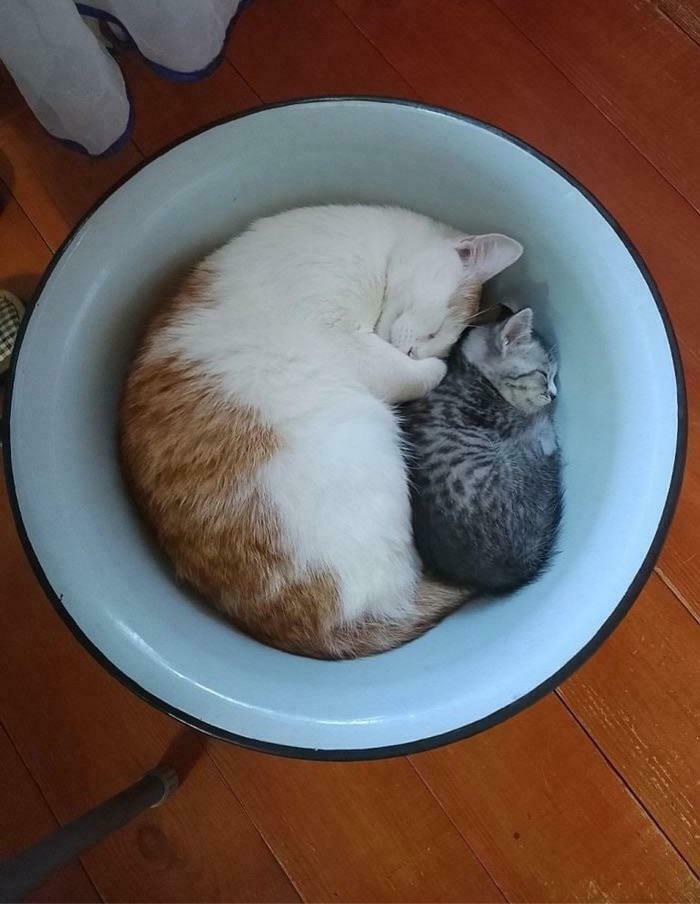 If I Fits, We Both Fits, No Questions Asked