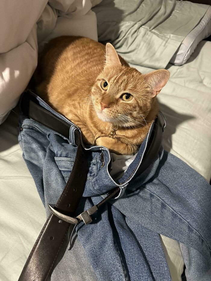 She’s In My Husband’s Pants More Than I Am