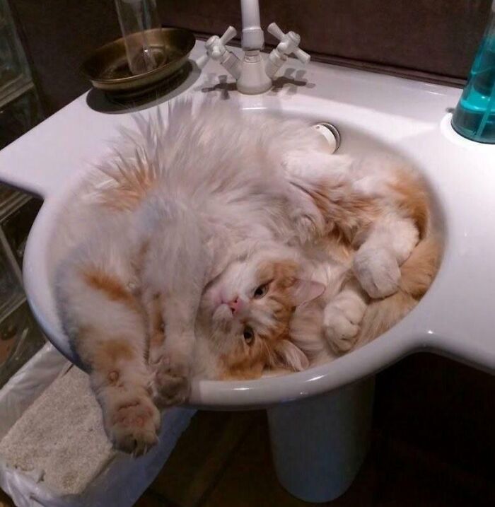 If I Fits, I Sink