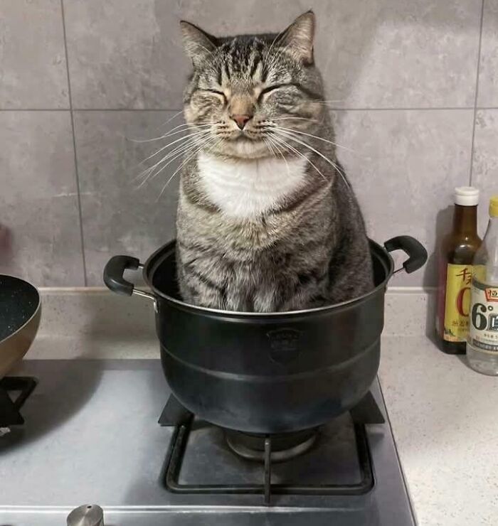 Yep, If I Fit, I’m Sitting Right Here