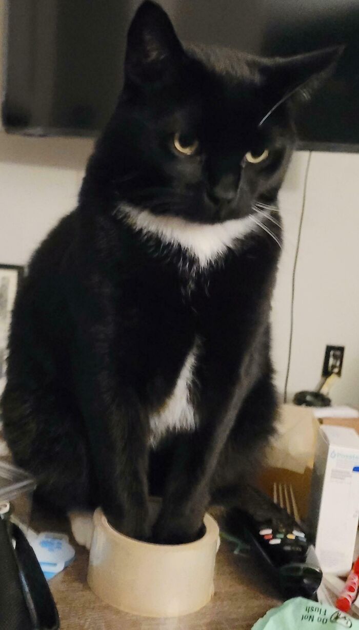 Tape Roll Tight? Good Enough!