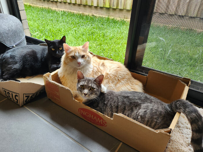 Finally, a Good Family Photo!