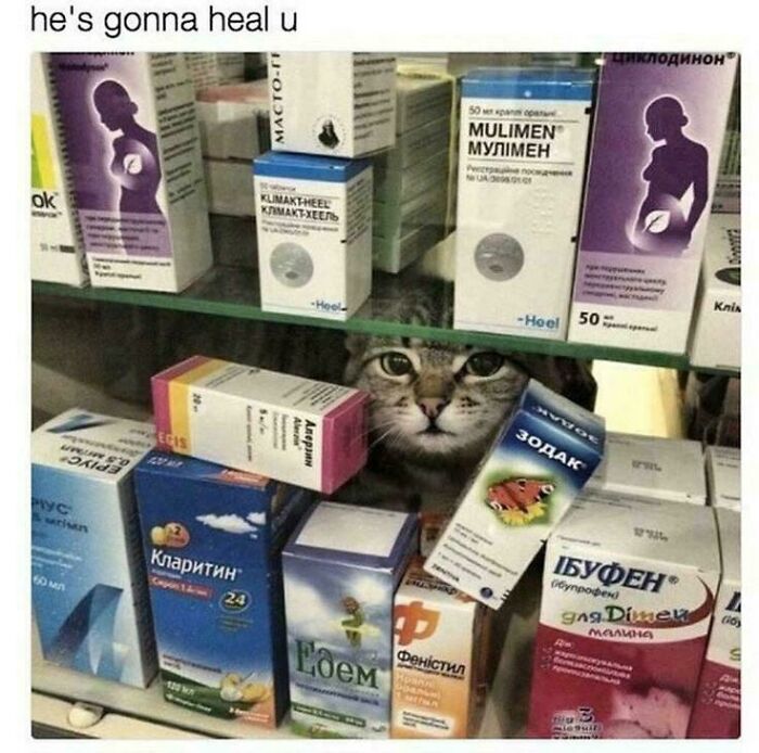 Best-Kept Secret in the Vitamin Aisle