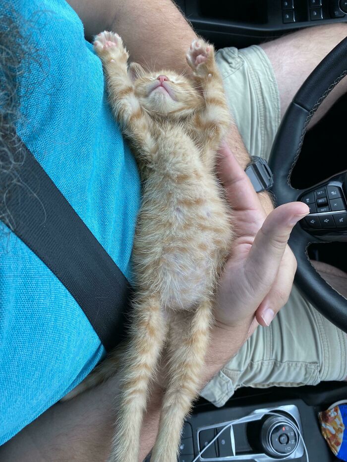 He Melts Like Butter in My Husband’s Arms