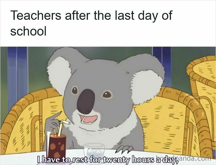 Wait Till You See These 50 Teacher Memes That Nail School Life!