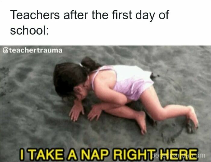 Wait Till You See These 50 Teacher Memes That Nail School Life!