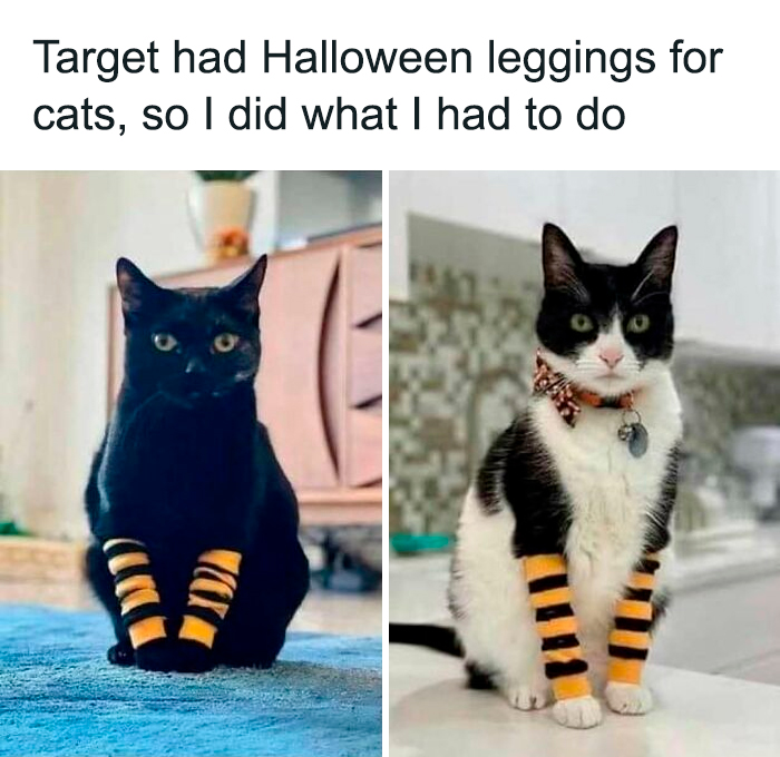 These Halloween Memes Will Crack You Up and Maybe Scream a Little