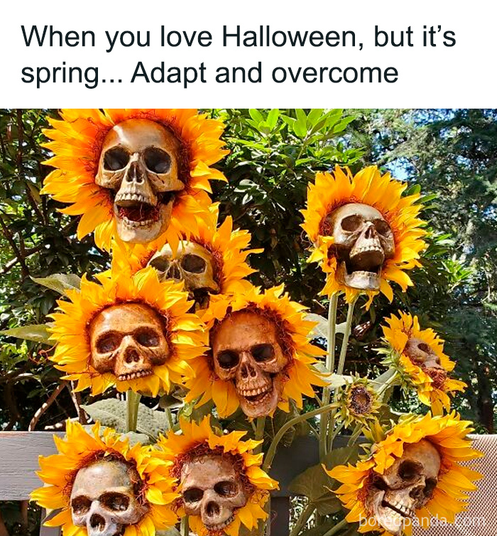 These Halloween Memes Will Crack You Up and Maybe Scream a Little