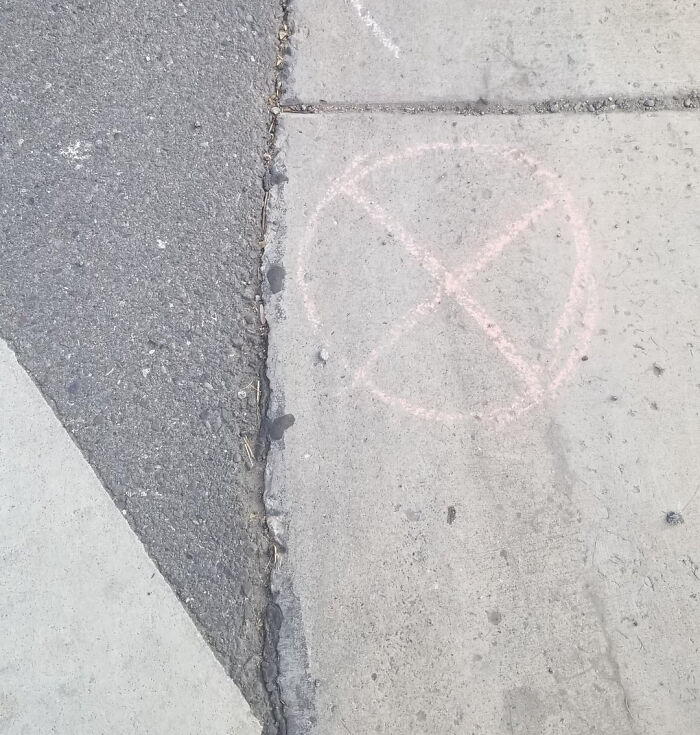 Wait, They Actually Ranked That?! 47 Hilarious & Crazy Ways to Outsmart Burglars