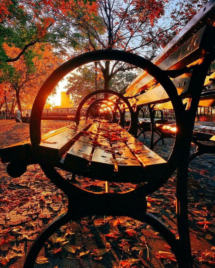 Fall Through a NYC Bench in Battery Park