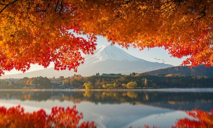 Mount Fuji Waking Up to an Autumn Sunrise