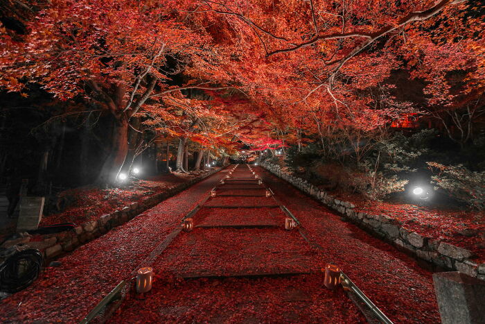Kyoto, Japan Showing Off in Autumn