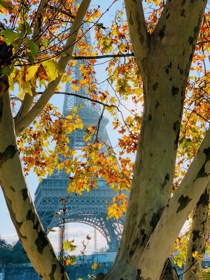 Eiffel Tower Posing for Autumn Morning Photoshoot