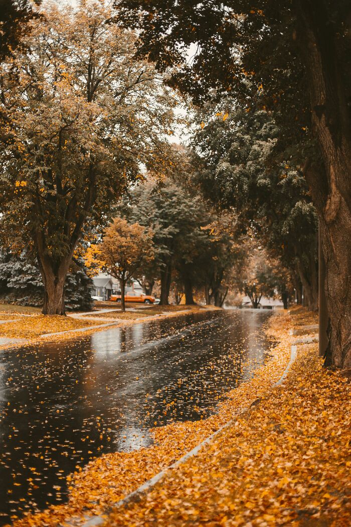 Snap of the Perfect Fall Street Vibes