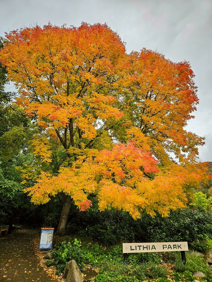 Ashland, Oregon Rocking That Fall Look (Oc)