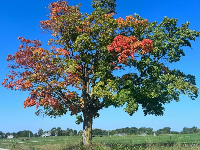 Fall Colors Are Making Their Grand Entrance!