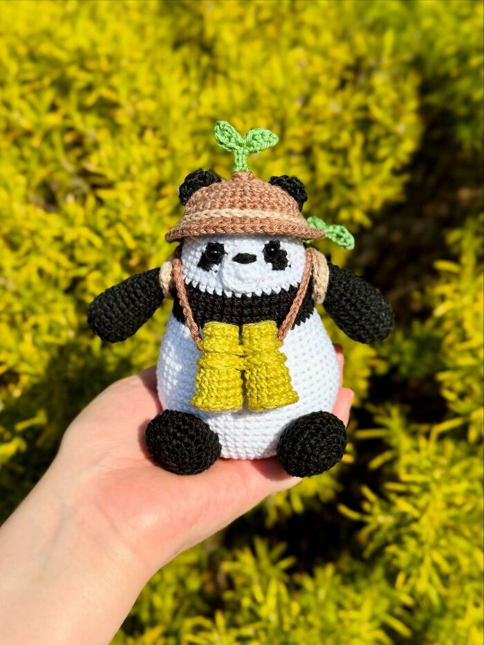 Explorer Panda Ready For Adventure