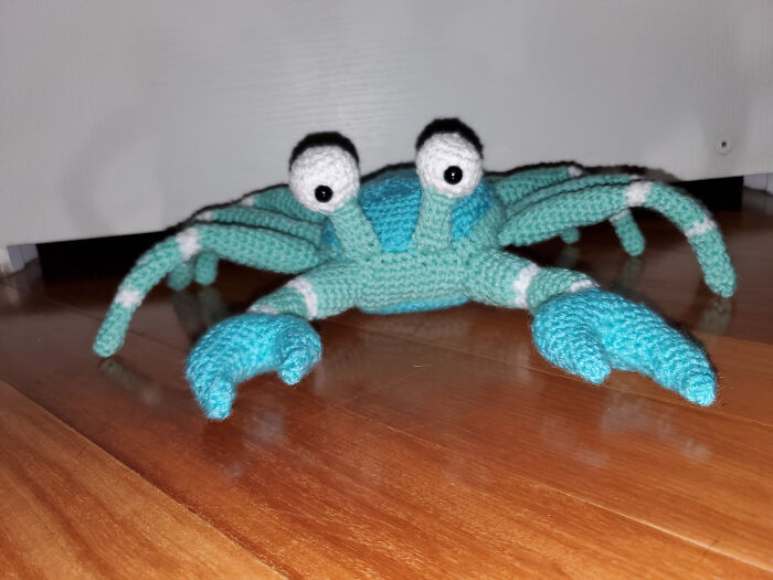 Crab Who’s Just Plain Confused