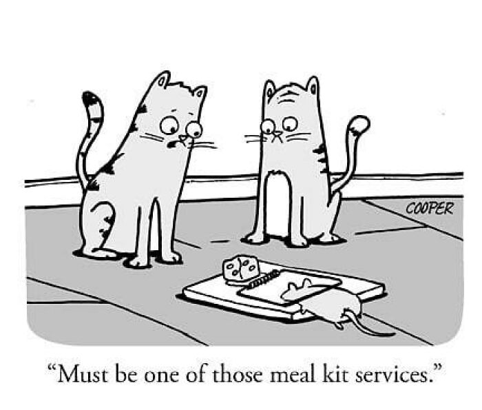 Let’s Peek Into Nathan Cooper’s World of Hilariously Ordinary Cartoons