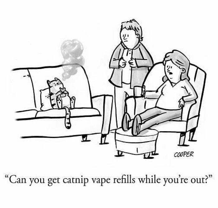 Let’s Peek Into Nathan Cooper’s World of Hilariously Ordinary Cartoons