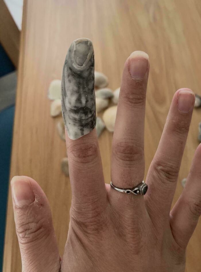 That Shell Looks Exactly Like A Finger